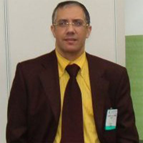 Mr. Hossam Abdelhamid